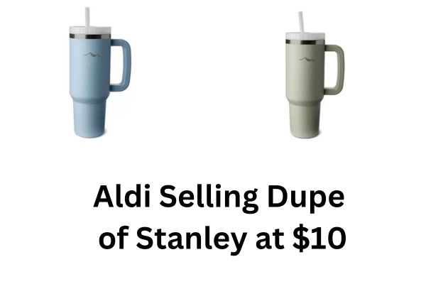 Aldi is selling $10 Stanley Cup dupe in 4 different colors - but