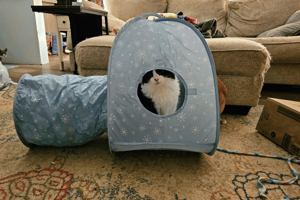 Aldi brings Heart To Tail Cat Tunnel or House