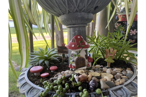 Transform Your Garden into a Whimsical Wonderland with Aldi’s Belavi Fairy Garden Kit!