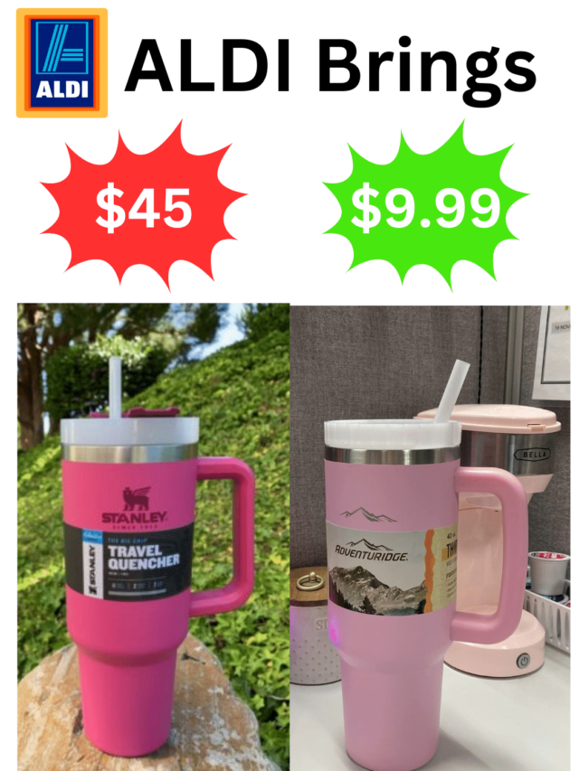 Aldi Selling Dupe of Stanley Tumblers just for $9.99